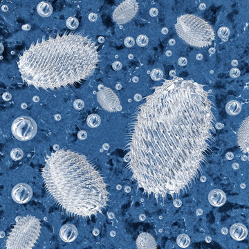 Protozoa on blue background. 3d illustration
