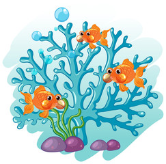 Fototapeta na wymiar Goldfish swimming around the coral