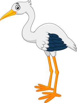 Cute stork cartoon
