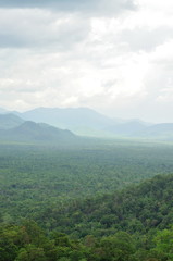 Forest landscape at Huai Kha Khaeng Wildlife Sanctuary, Thailand, World Heritage - 113507765