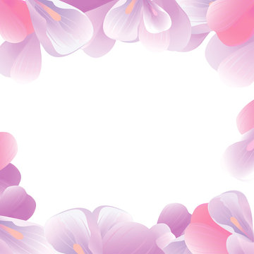 Flowers frame. Pink petals isolated on White background. Vector 