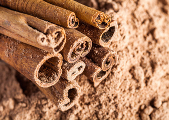 Cinnamon sticks on powder