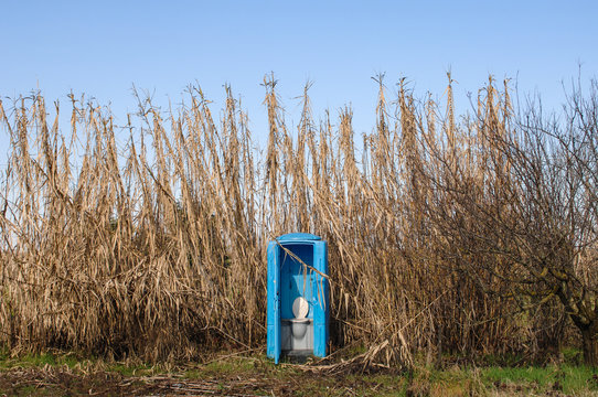 campagna con lattrina