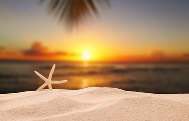 Fototapeta na wymiar Shells on sandy beach with tropical beach background, sun set 