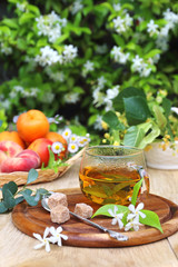 Summer Tea Party: herbal tea in the lush  garden