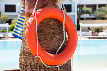 lifebuoy on the background of the pool and beach sunbeds