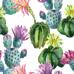 Watercolor seamless cactus pattern