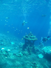 Obraz premium Underwater shot of the woman moving on the breath hold in the depth. Amed village, Bali, Indonesia