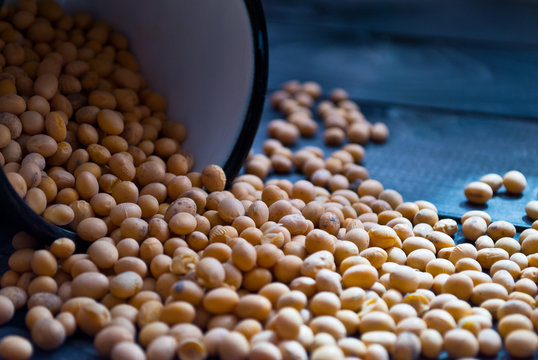 Soy beans in the metal cup