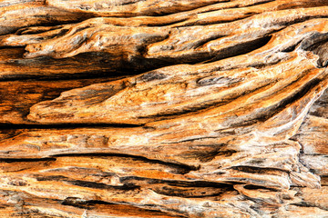 grunge wood texture for background