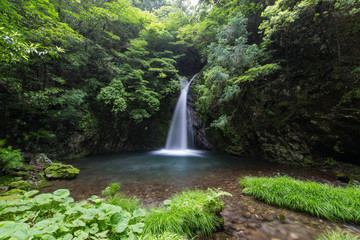 高知県津野町　追合の滝