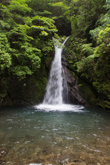 Fototapeta na wymiar 高知県津野町　追合の滝