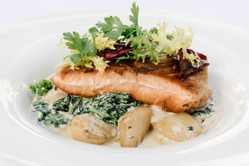 Salmon with steamed spinach and creamy potatoes