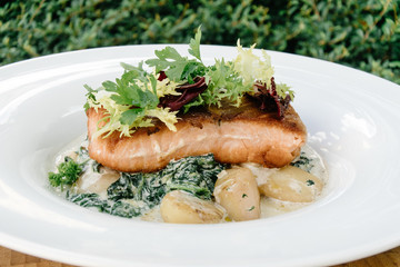 Salmon with steamed spinach and creamy potatoes
