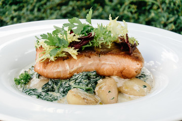Salmon with steamed spinach and creamy potatoes