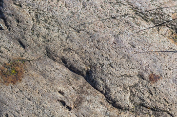 texture of a boulder with moss