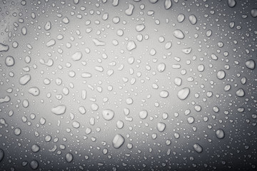 Drops of water on a color background. Gray. Selective focus. Ton