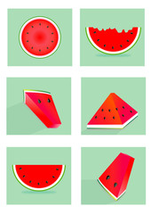 Watermelon red collection and one piece on a green background with the shadow
