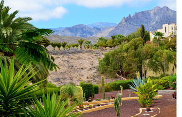Fototapeta na wymiar Beautiful view with palm trees in Torviscas Alto,Tenerife,Canary Islands,Spain.