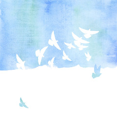 pigeon in the sky watercolor hand drawn illustration