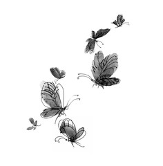 watercolor hand drawn illustration