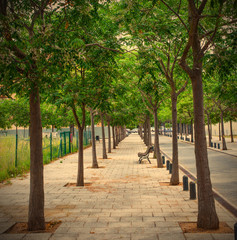 walking alley with bench in a small town
