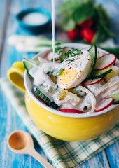 Russian cold summer soup 