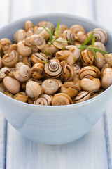 snails in blue bowl on blue wooden background