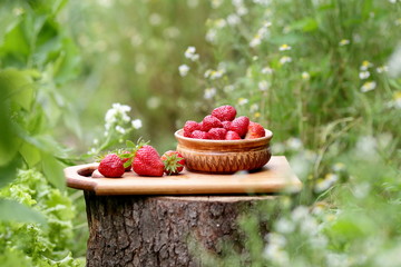 клубника на природе