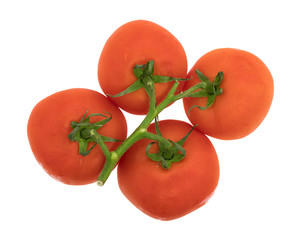 Organic red tomatoes isolated on a white background top view.