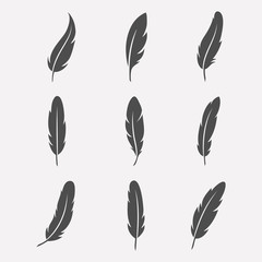 Feathers vector set