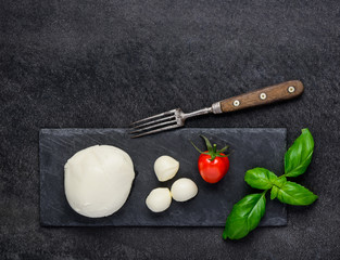 Fresh Juicy Mozzarella Cheese and Copy Space