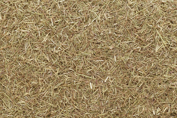 Organic dry lemongrass (Cymbopogon flexuosus) fine cut. Macro close up background texture. Top view.