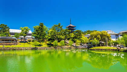 Goju-no-to five-storied pagoda above Sarusawa-ike Pond in Nara