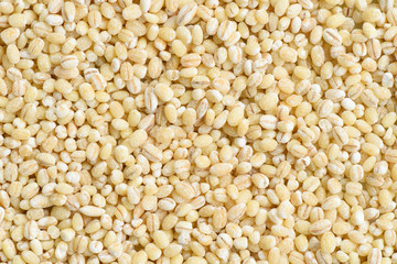 Wheat seed background