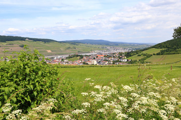 Bingen am Rhein. Im Hintergrund rechts auf der anderen Rheinseite Rüdesheim. (Juni 2016)