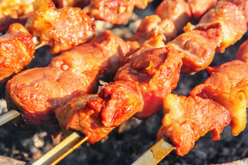 Pork shashlik
