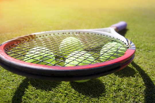 Tennis Ball On A Tennis Court