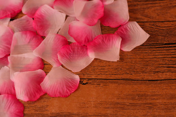Beautiful pink rose petals