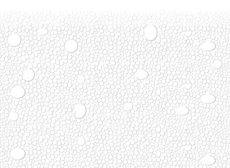 bubble vector graphic . white background bubble texture