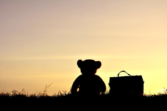 Silhouette teddy bear with a bag at sky sunset