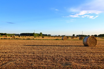 Hay bales field