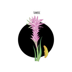 Image of plant Turmeric