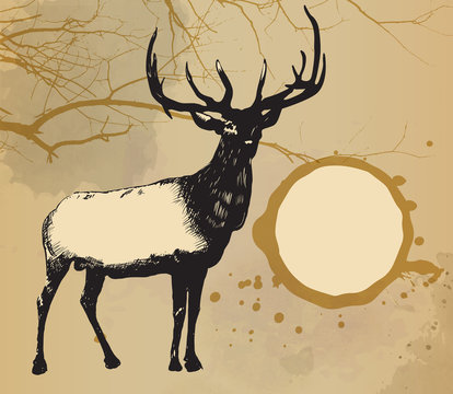 Deer, moose watercolor painting design template vector image