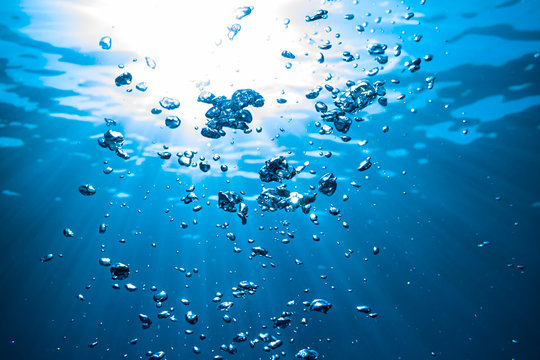 Fototapeta Air bubbles underwater in against the sun light / Luftblasen unterwasser im Gegenlicht