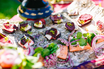 Set cold dishes on the bark close up