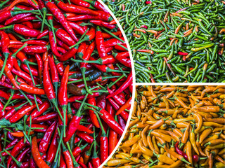 Naklejka premium Collage of red green and yellow paprica.
