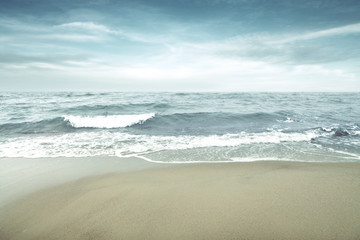 beach and summer landscape 