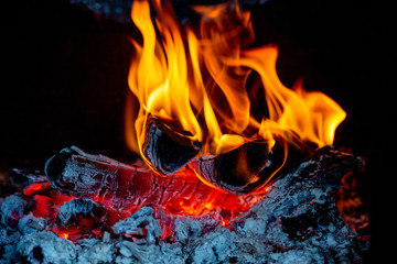 Fire flames in burning fireplace. A close up shot of fire flame over ash inside of fireplace.
