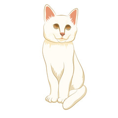adult white cat sitting realistic 